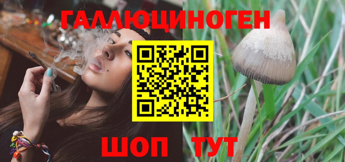 наркота  Вход с VPN  Пенза  Псилоцибиновые грибы мицелий  Галлюциногенные грибы Cubensis 